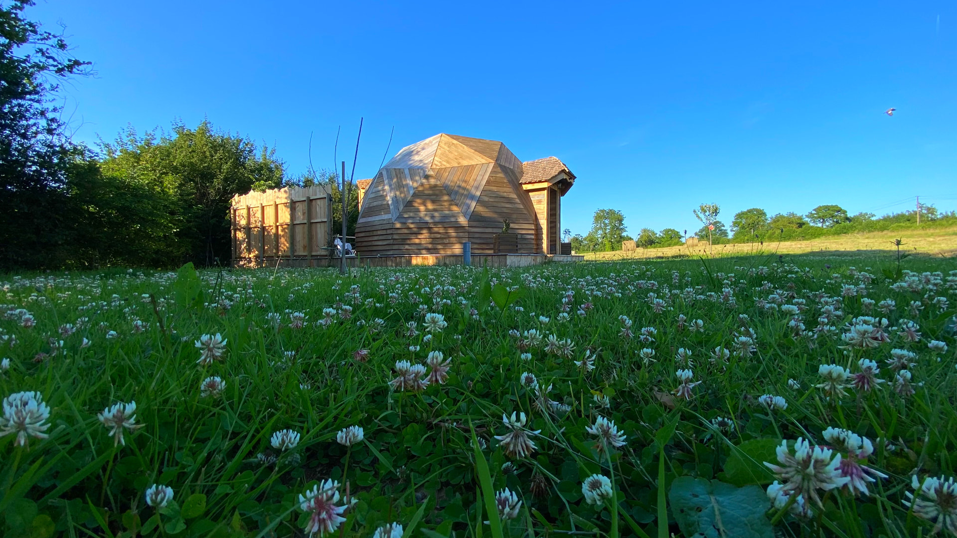 Dôme géodésique en bois dans une prairie de trèfles en fleurs