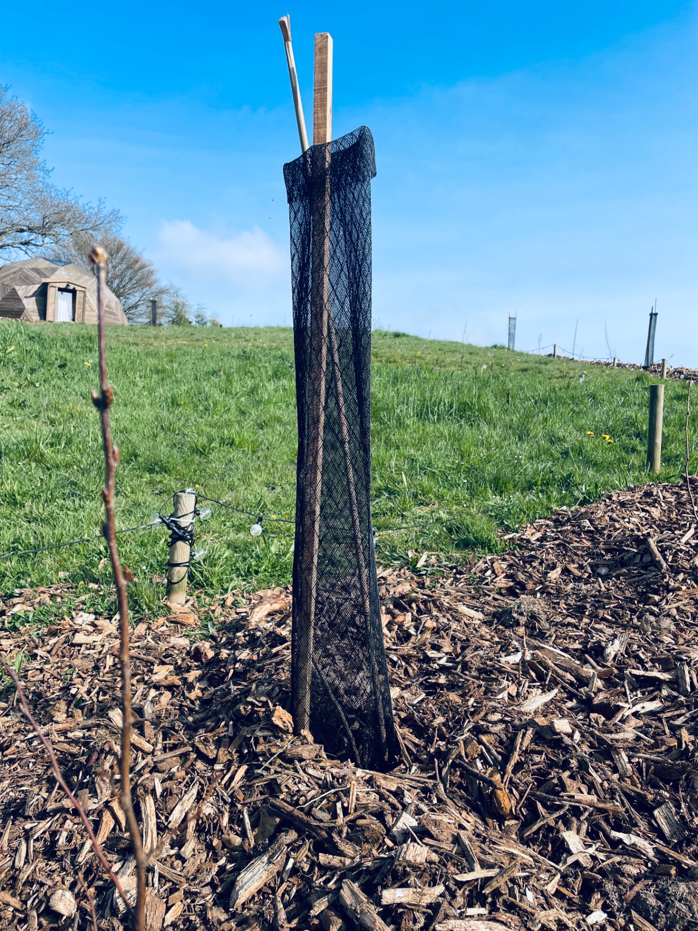 Verger et ruches de la ferme familiale en Normandie